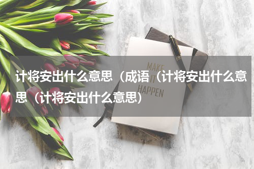计将安出什么意思（成语（计将安出什么意思（计将安出什么意思）
