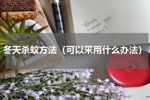 冬天杀蚊方法（可以采用什么办法）