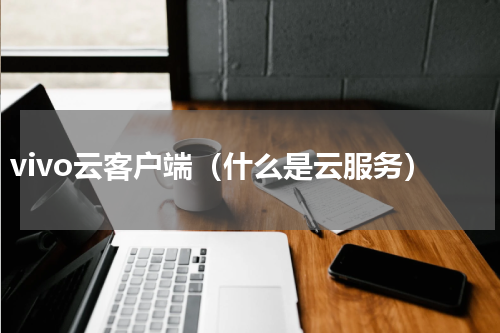vivo云客户端（什么是云服务）