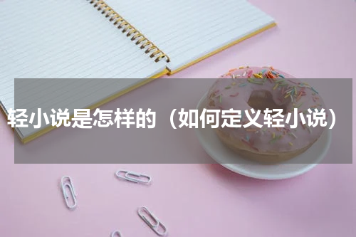 轻小说是怎样的（如何定义轻小说）