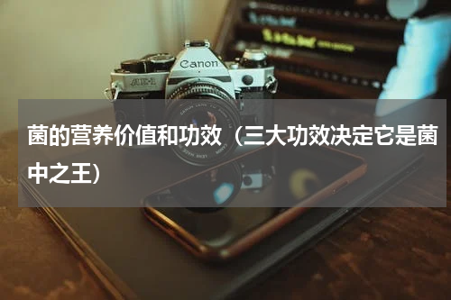 菌的营养价值和功效（三大功效决定它是菌中之王）