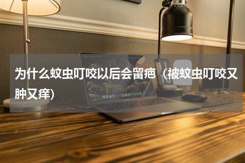 为什么蚊虫叮咬以后会留疤（被蚊虫叮咬又肿又痒）