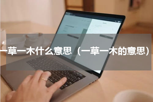 一草一木什么意思（一草一木的意思）