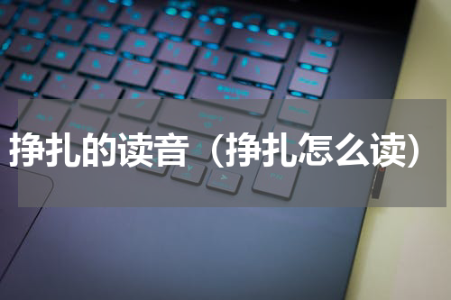 挣扎的读音（挣扎怎么读）