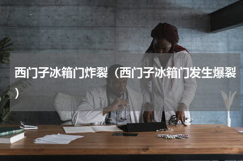 西门子冰箱门炸裂（西门子冰箱门发生爆裂）
