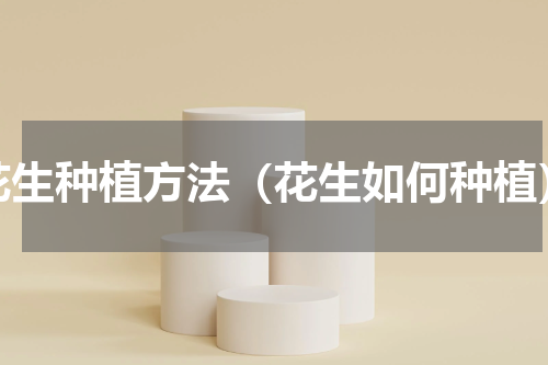 花生种植方法（花生如何种植）
