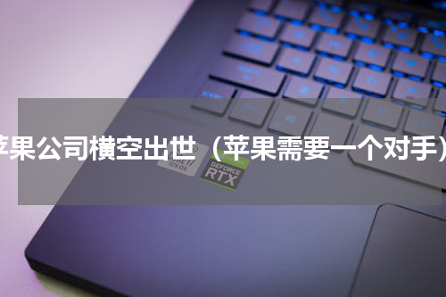 苹果公司横空出世（苹果需要一个对手）