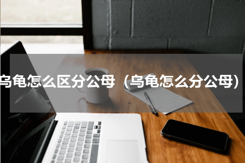 乌龟怎么区分公母（乌龟怎么分公母）