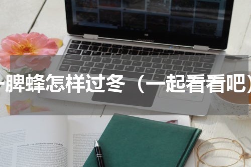 一脾蜂怎样过冬（一起看看吧）