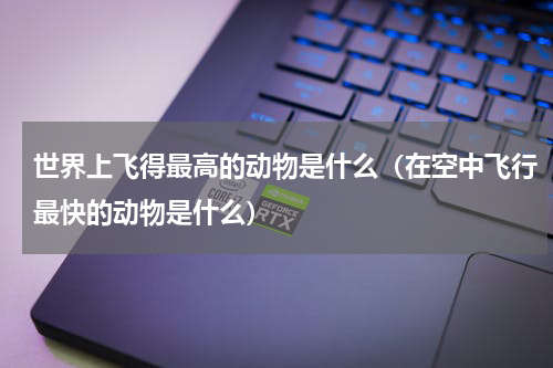 世界上飞得最高的动物是什么（在空中飞行最快的动物是什么）