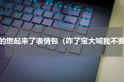 妈的燃起来了表情包（咋了宝大喊我不要）