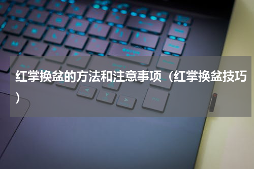 红掌换盆的方法和注意事项（红掌换盆技巧）