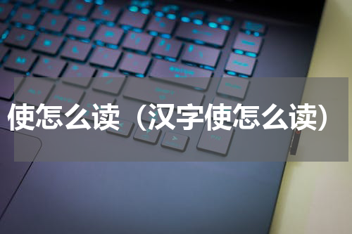 使怎么读（汉字使怎么读）