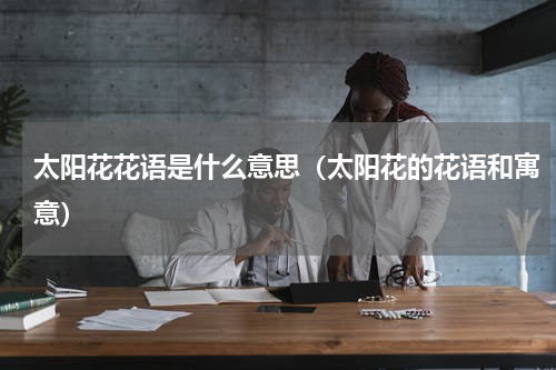 太阳花花语是什么意思（太阳花的花语和寓意）