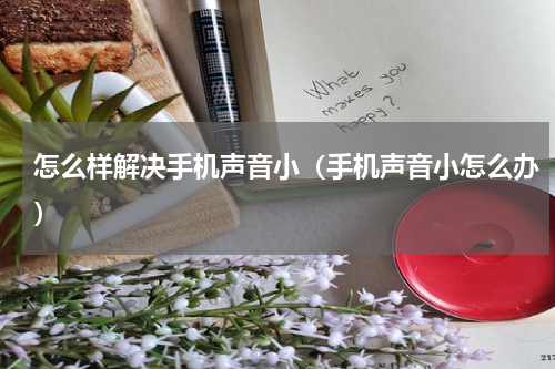 怎么样解决手机声音小（手机声音小怎么办）