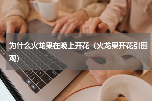 为什么火龙果在晚上开花（火龙果开花引围观）