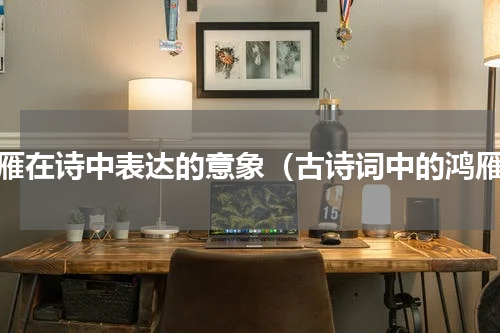 鸿雁在诗中表达的意象（古诗词中的鸿雁）