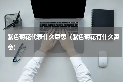 紫色菊花代表什么意思（紫色菊花有什么寓意）