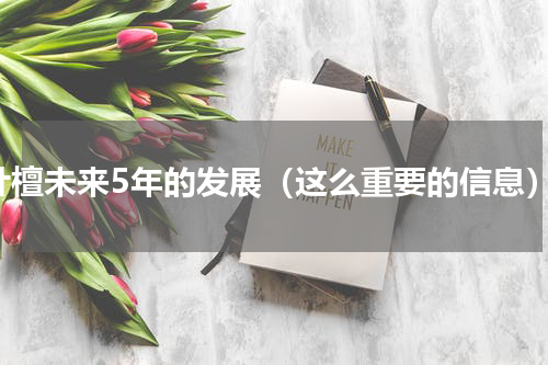 叶檀未来5年的发展（这么重要的信息）