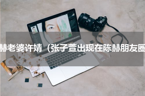 陈赫老婆许婧（张子萱出现在陈赫朋友圈）