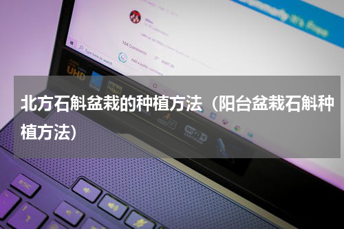北方石斛盆栽的种植方法（阳台盆栽石斛种植方法）