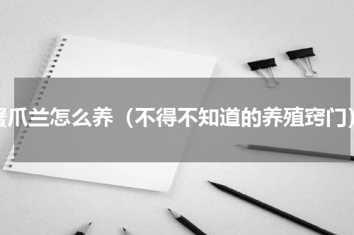蟹爪兰怎么养（不得不知道的养殖窍门）
