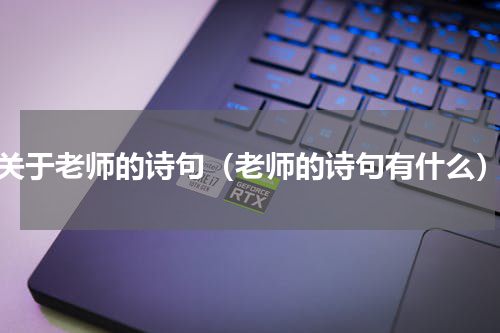 关于老师的诗句（老师的诗句有什么）