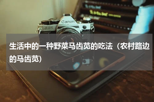 生活中的一种野菜马齿苋的吃法（农村路边的马齿苋）
