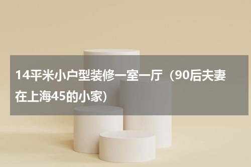 14平米小户型装修一室一厅（90后夫妻在上海45的小家）