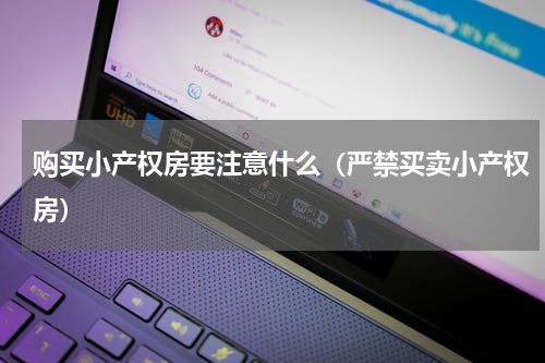 购买小产权房要注意什么（严禁买卖小产权房）