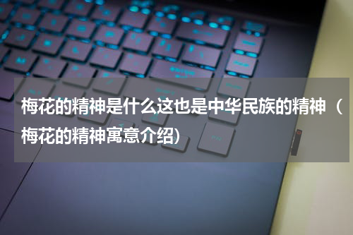 梅花的精神是什么这也是中华民族的精神（梅花的精神寓意介绍）