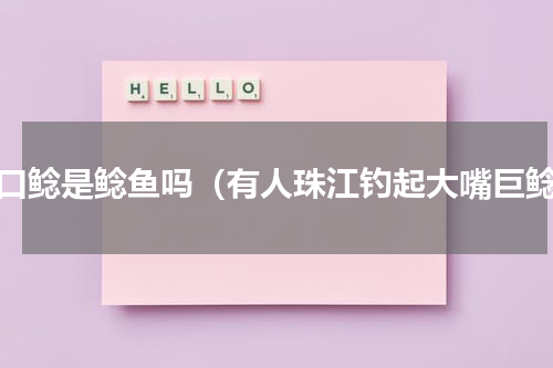 大口鲶是鲶鱼吗（有人珠江钓起大嘴巨鲶）