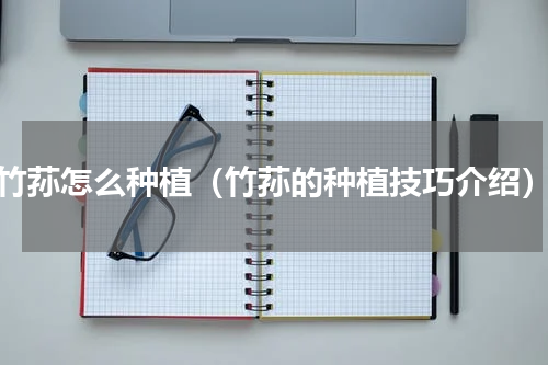 竹荪怎么种植（竹荪的种植技巧介绍）