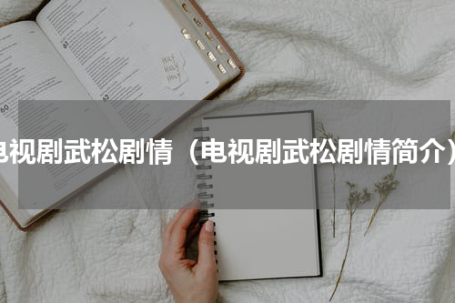 电视剧武松剧情（电视剧武松剧情简介）