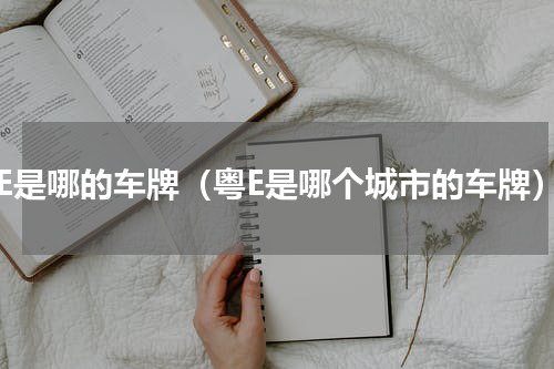 粤E是哪的车牌（粤E是哪个城市的车牌）