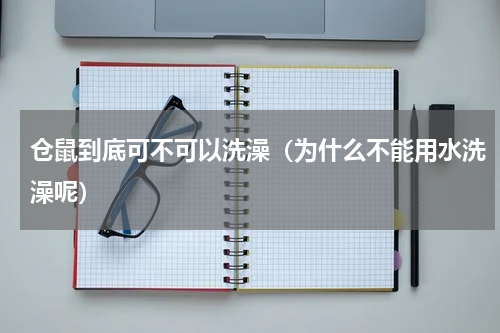 仓鼠到底可不可以洗澡（为什么不能用水洗澡呢）