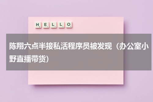 陈翔六点半接私活程序员被发现（办公室小野直播带货）