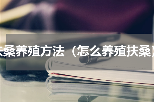 扶桑养殖方法（怎么养殖扶桑）