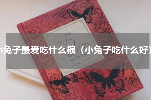 小兔子最爱吃什么粮（小兔子吃什么好）
