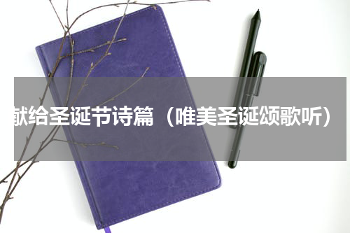 献给圣诞节诗篇（唯美圣诞颂歌听）