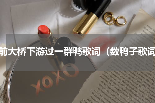 门前大桥下游过一群鸭歌词（数鸭子歌词）