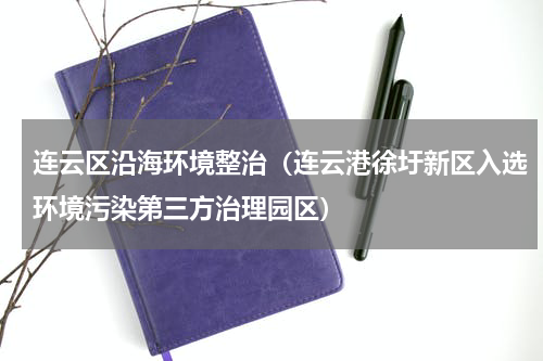 连云区沿海环境整治（连云港徐圩新区入选环境污染第三方治理园区）