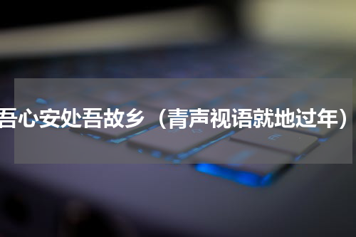 吾心安处吾故乡（青声视语就地过年）