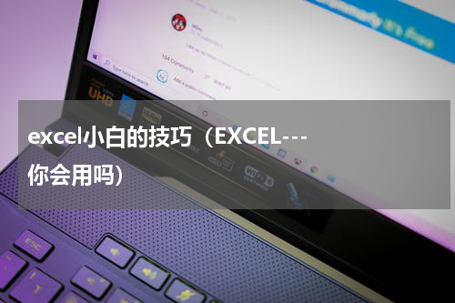 excel小白的技巧（EXCEL---你会用吗）