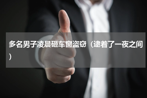 多名男子凌晨砸车窗盗窃（逮着了一夜之间）
