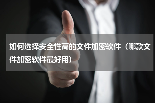 如何选择安全性高的文件加密软件（哪款文件加密软件最好用）