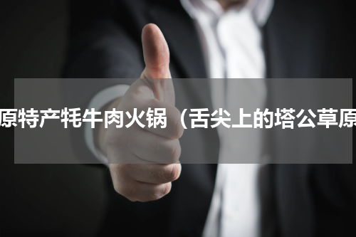 高原特产牦牛肉火锅（舌尖上的塔公草原）