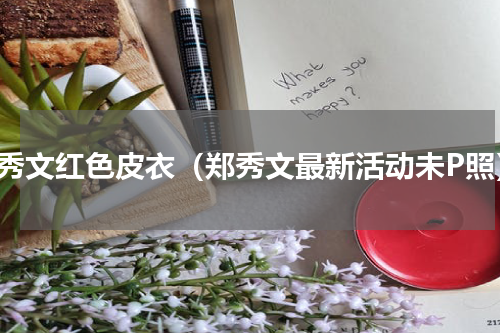郑秀文红色皮衣（郑秀文最新活动未P照）