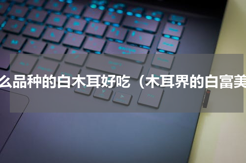 什么品种的白木耳好吃（木耳界的白富美）