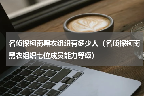 名侦探柯南黑衣组织有多少人（名侦探柯南黑衣组织七位成员能力等级）